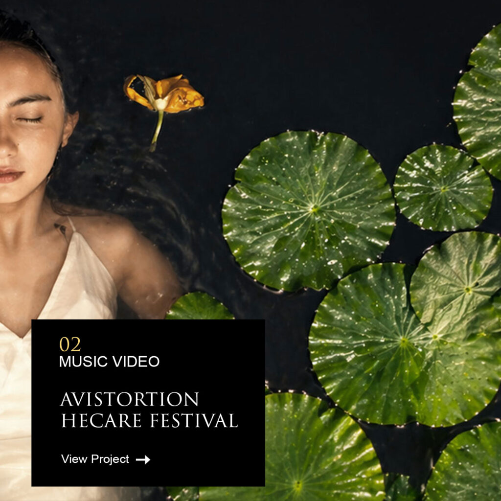 portfolio avistortion